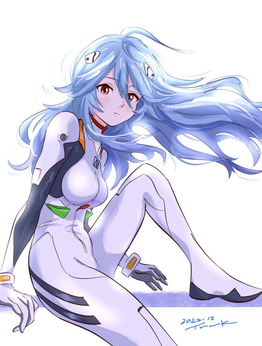 Ayanami Rei (Neon Genesis Evangelion) Rule 34 Image
