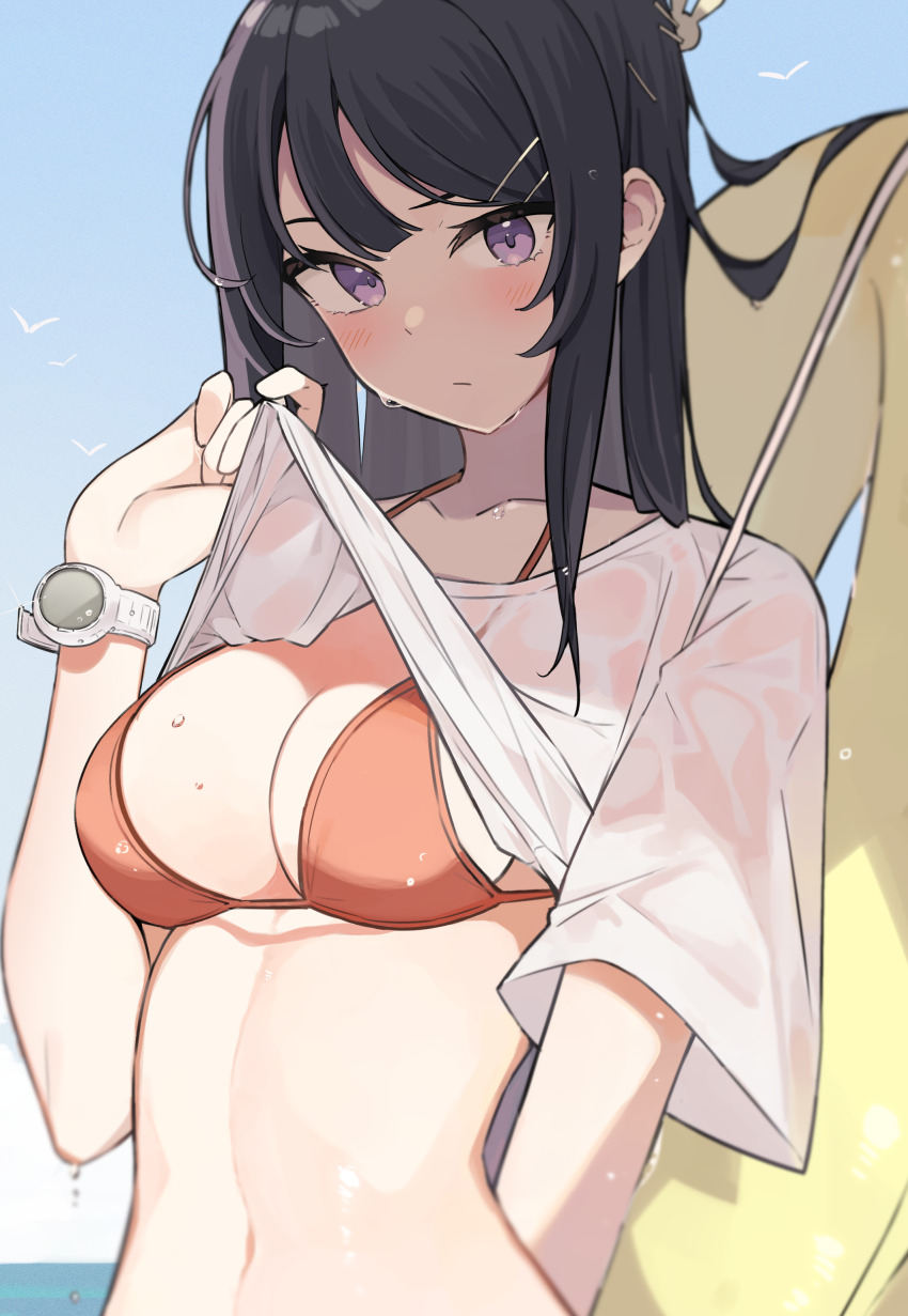 Sakurajima Mai (Seishun Buta Yarou) Rule 34 Image