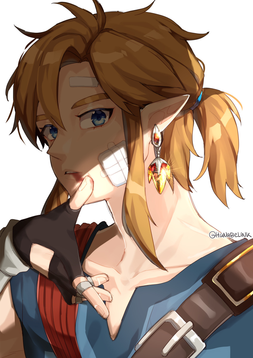 Link (Nintendo) Rule 34 Image