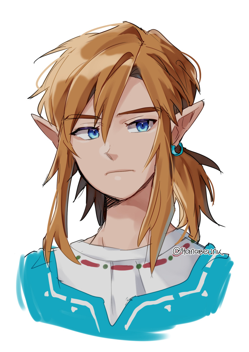 Link (Nintendo) Rule 34 Image