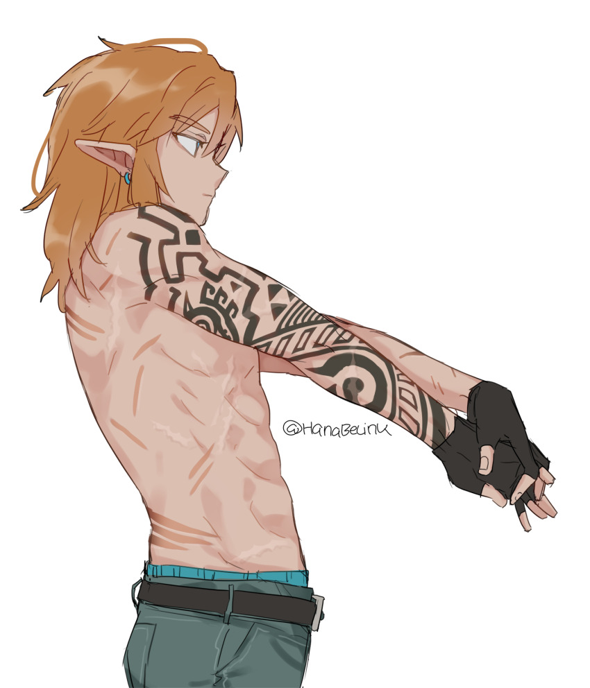 Link (Nintendo) Rule 34 Image