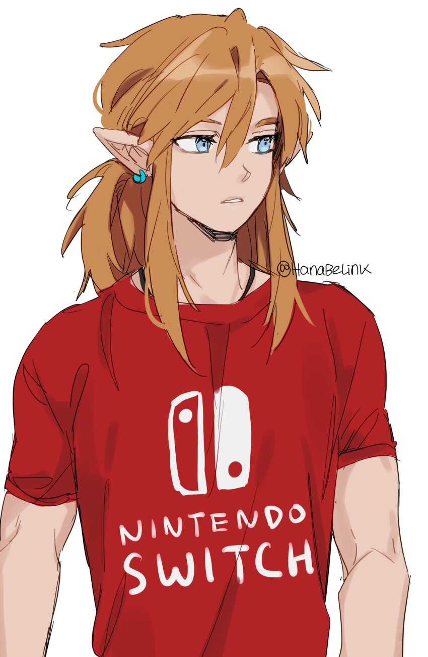 Link (Nintendo) Rule 34 Image