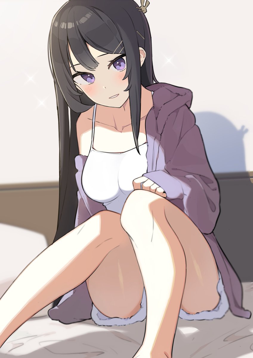 Sakurajima Mai (Seishun Buta Yarou) Rule 34 Image