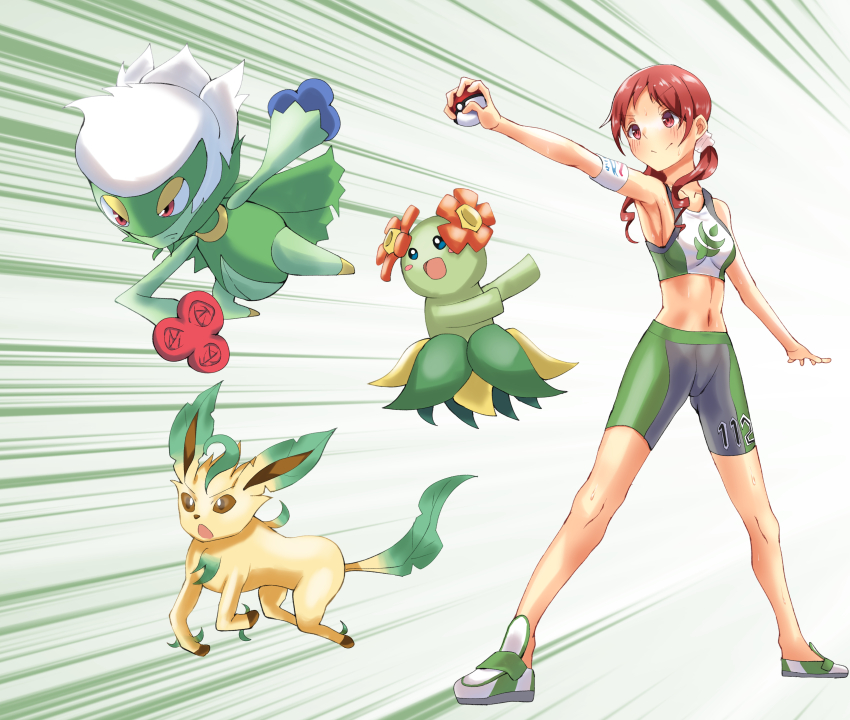Bellossom (Gochuumon Wa Usagi Desu Ka?) Rule 34 Image