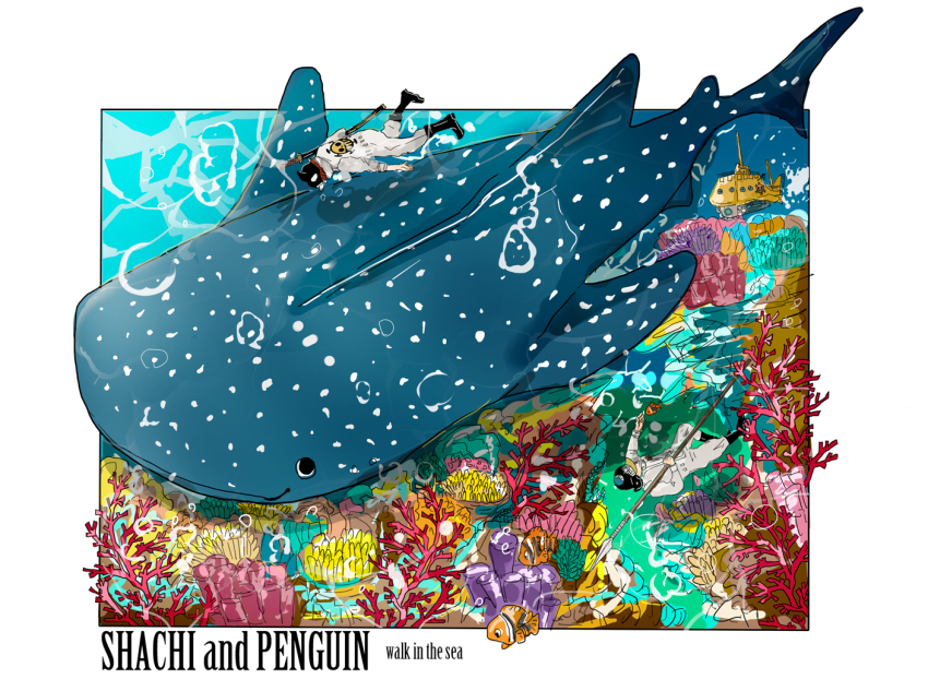 Penguin (One Piece) Rule 34 Image