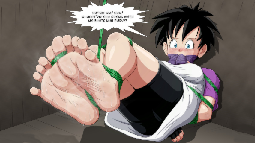 Videl (Dragon Ball) Rule 34 Image