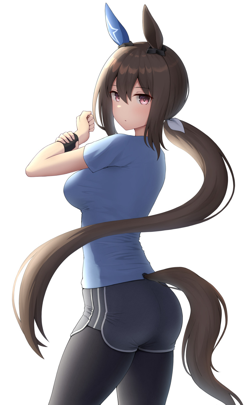 Admire Vega (Umamusume) Rule 34 Image