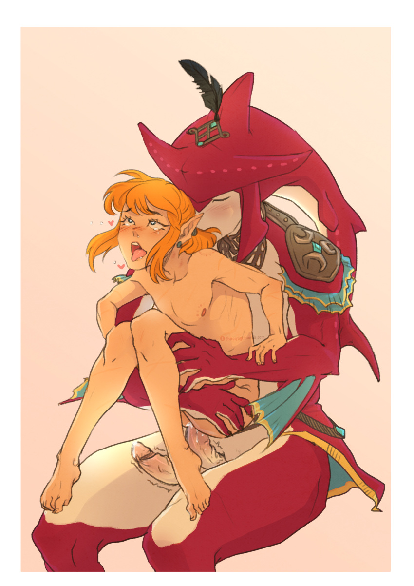 Link (Breath Of The Wild) Rule 34 Image