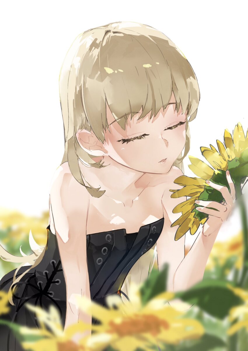 Oshino Shinobu (Monogatari (Series)) Rule 34 Image
