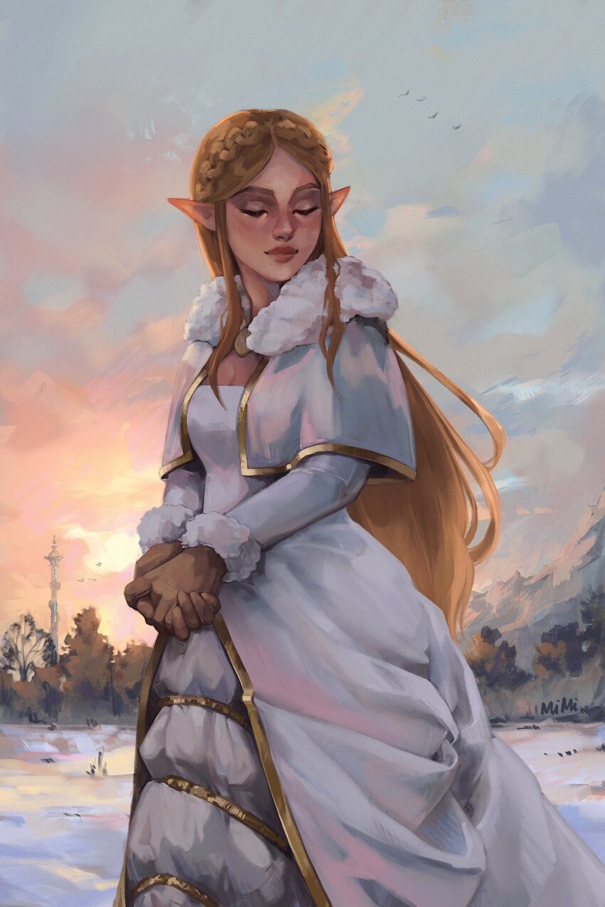 Princess Zelda (Nintendo) Rule 34 Image