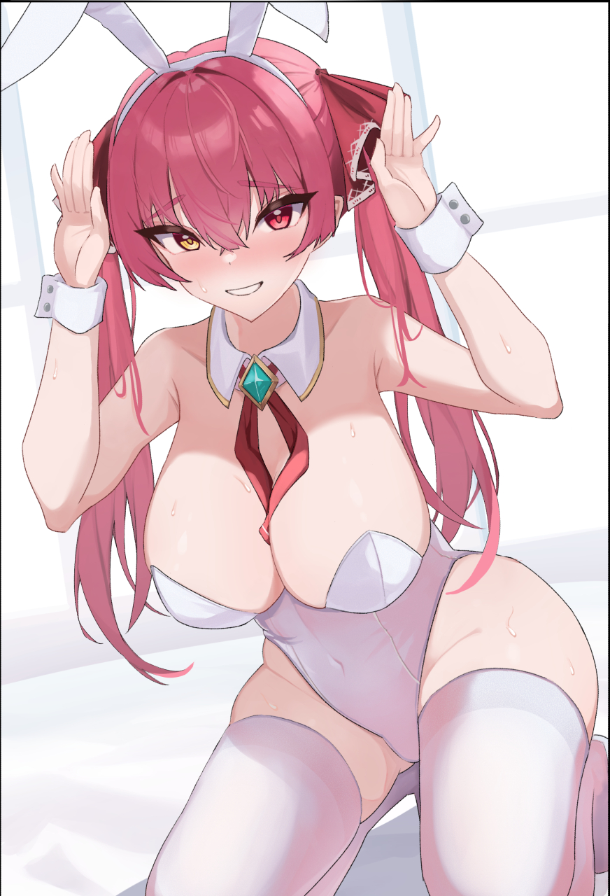 Houshou Marine (Hololive) Rule 34 Image