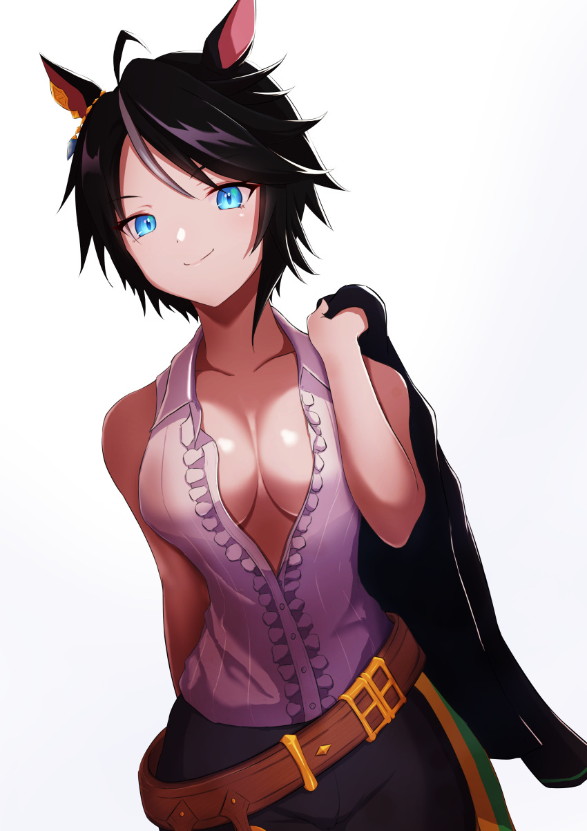 Fuji Kiseki (Shooting Star Revue) (Umamusume) Rule 34 Image