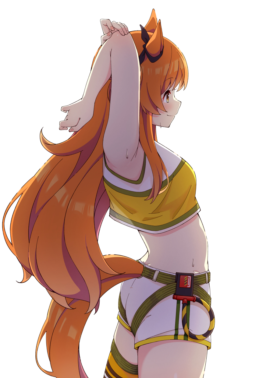 Mayano Top Gun (Umamusume) Rule 34 Image