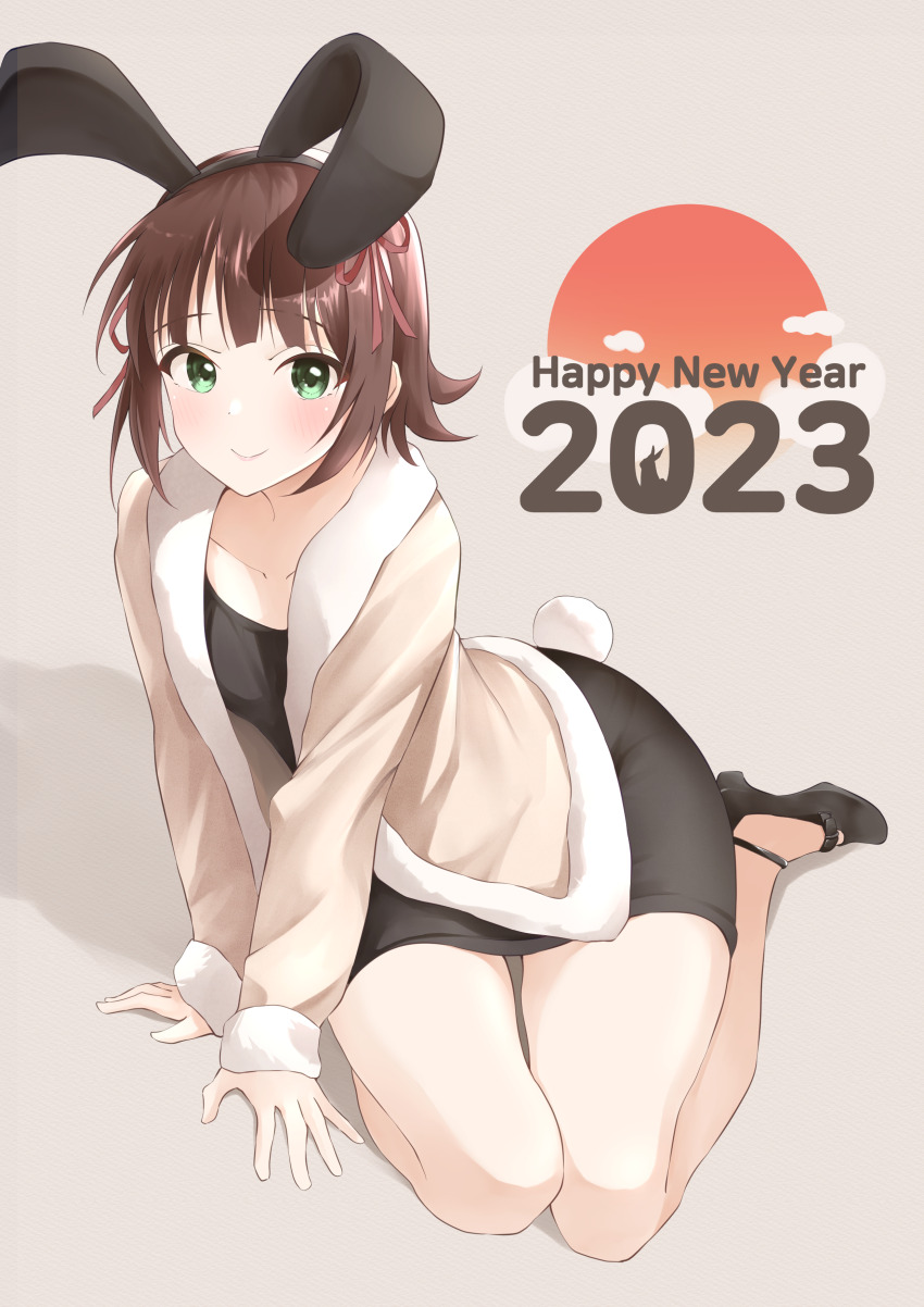 Amami Haruka (Happy New Year) Rule 34 Image