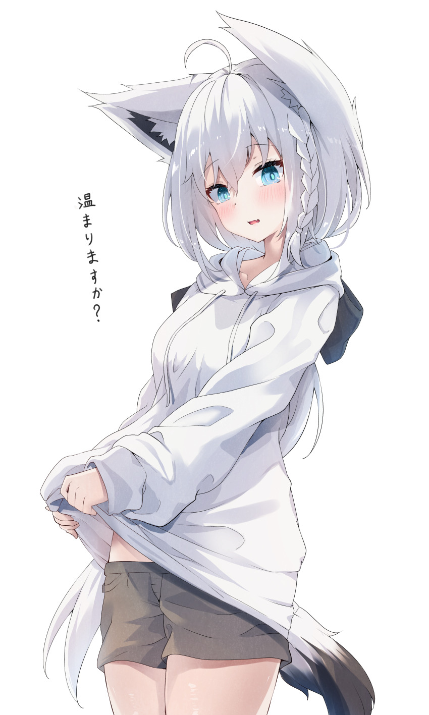 Shirakami Fubuki (Hololive) Rule 34 Image