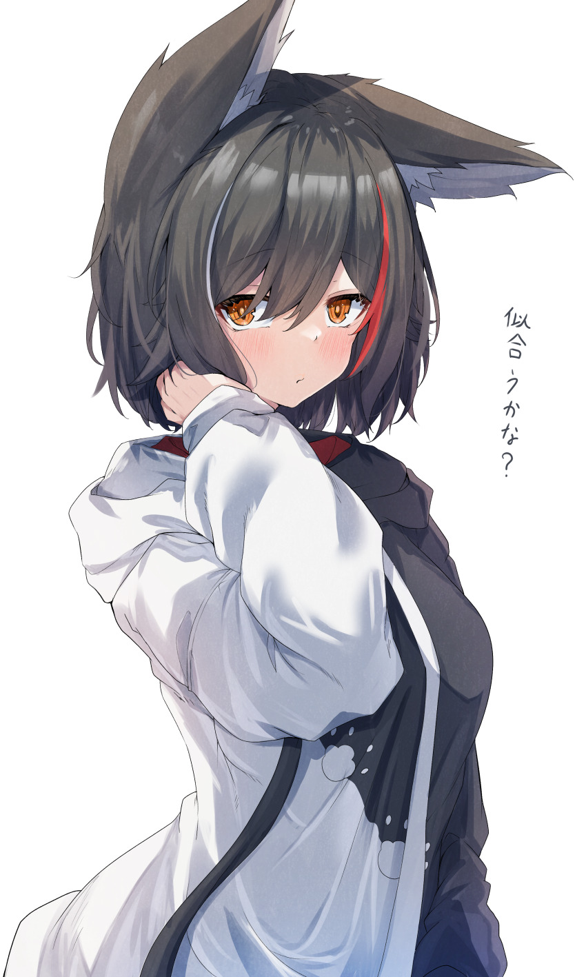 Ookami Mio (Hololive) Rule 34 Image