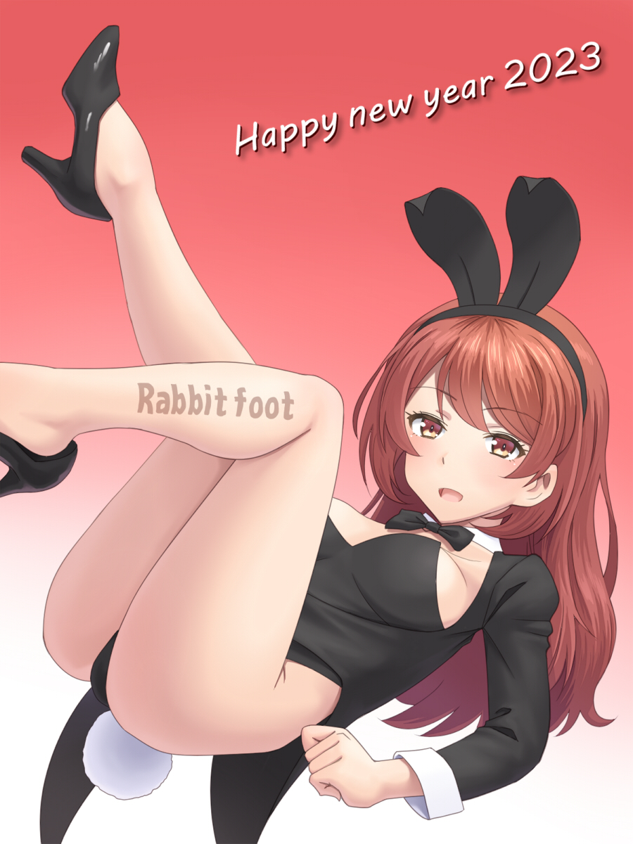 Chinese Zodiac Rule 34 Image