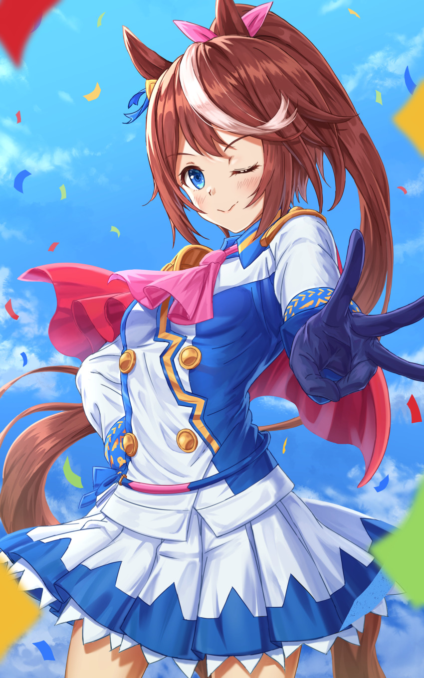 Tokai Teio (Umamusume) Rule 34 Image