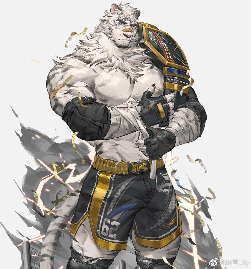 Mountain (Arknights) Rule 34 Image