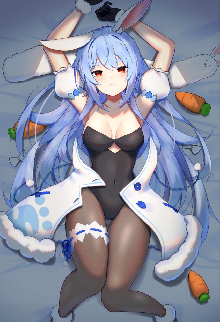 Don-Chan (Usada Pekora) Rule 34 Image