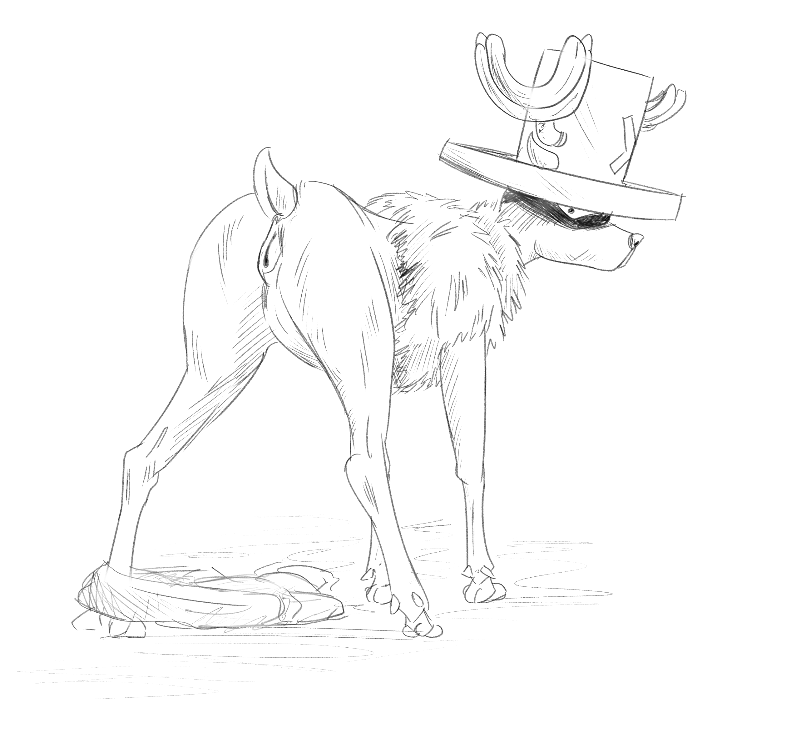 Tony Tony Chopper (One Piece) Rule 34 Image