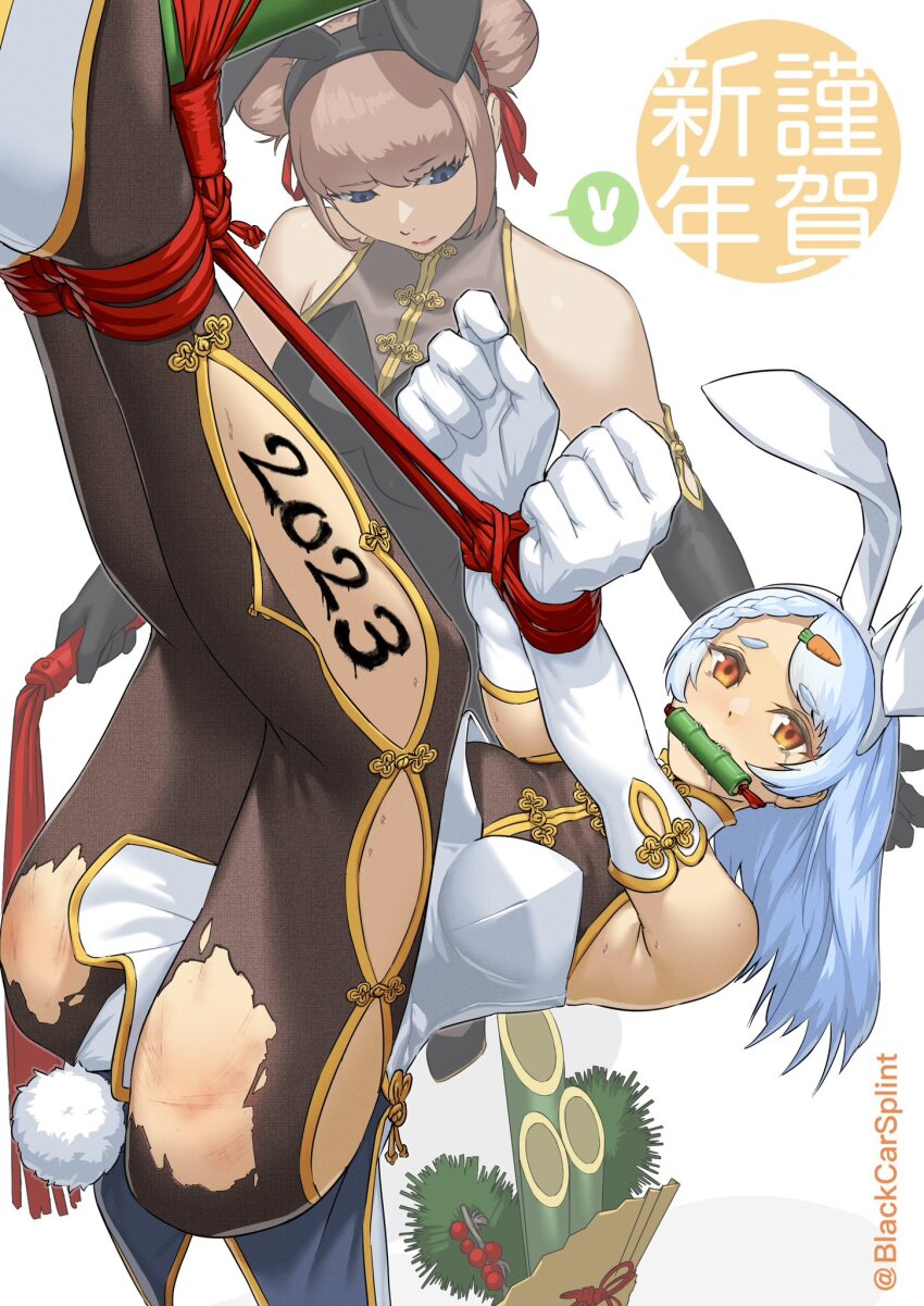 Chinese Zodiac Rule 34 Image