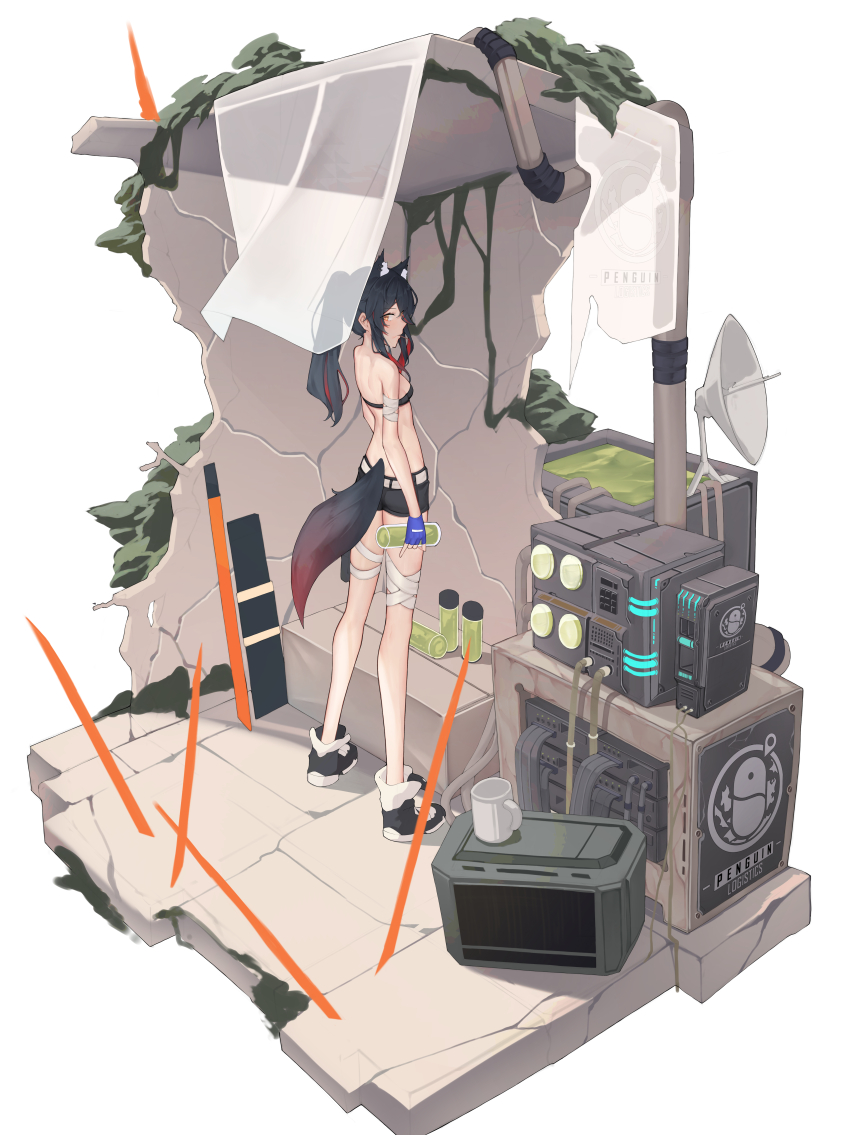 Texas (Arknights) Rule 34 Image
