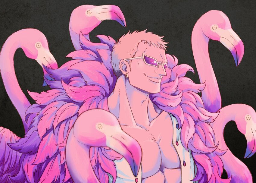Donquixote Doflamingo (One Piece) Rule 34 Image