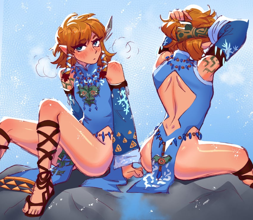 Frostbite Link (Tears Of The Kingdom) Rule 34 Image