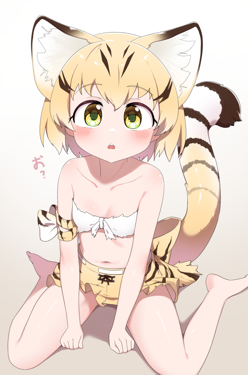 Sand Cat (Kemono Friends) Rule 34 Image