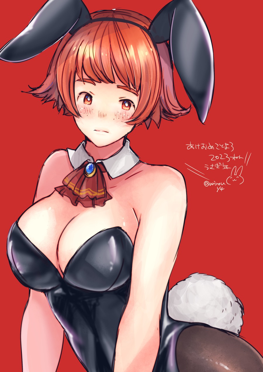 Chinese Zodiac Rule 34 Image