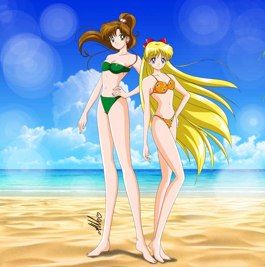 Kino Makoto (Aino Minako) Rule 34 Image