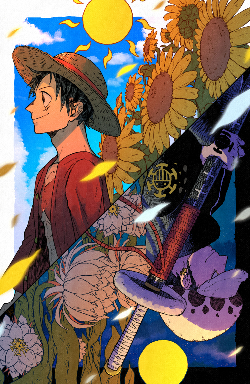 Trafalgar Law (Monkey D. Luffy) Rule 34 Image