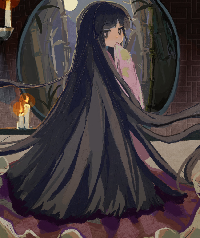 Houraisan Kaguya (Touhou) Rule 34 Image