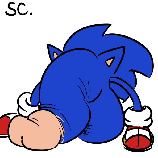 Sonic (Series) Rule 34 Image