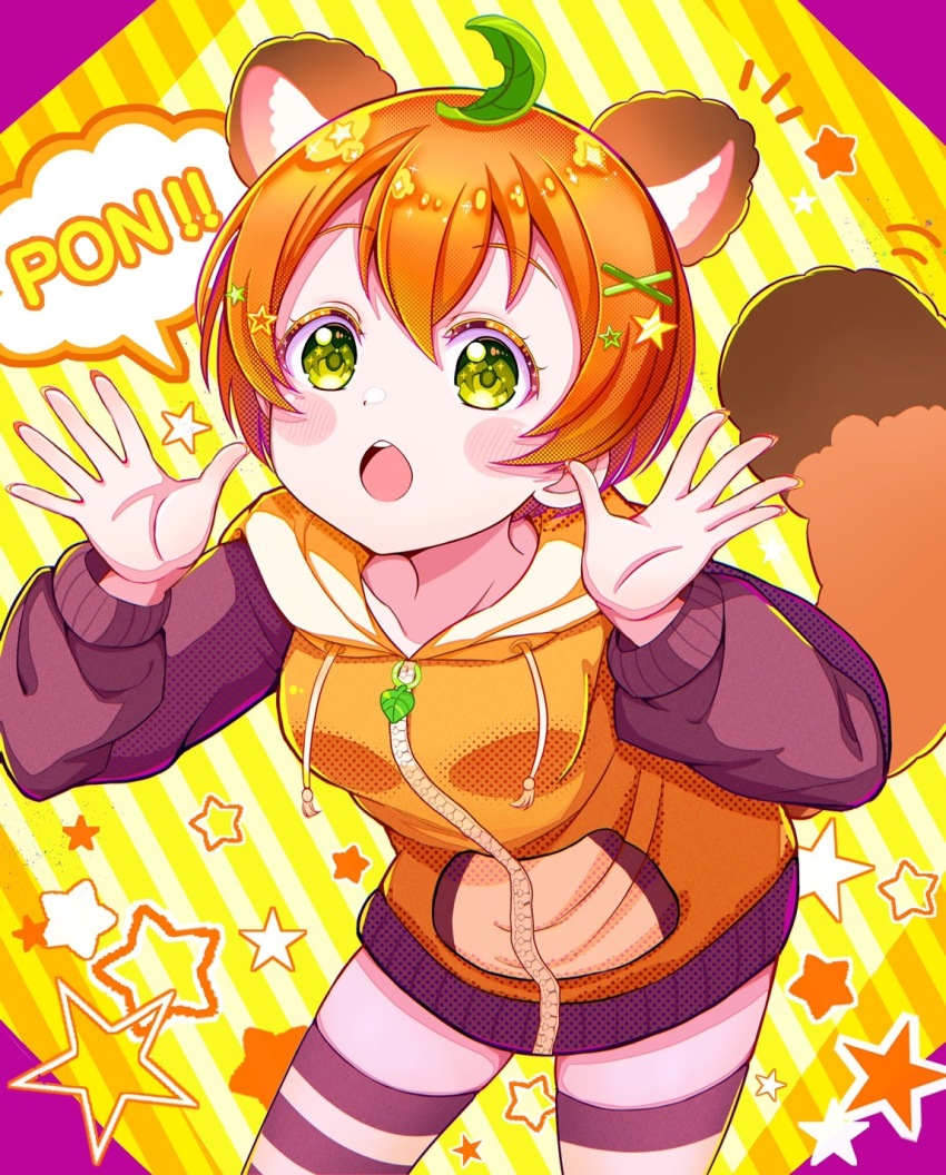 Hoshizora Rin (Love Live!) Rule 34 Image
