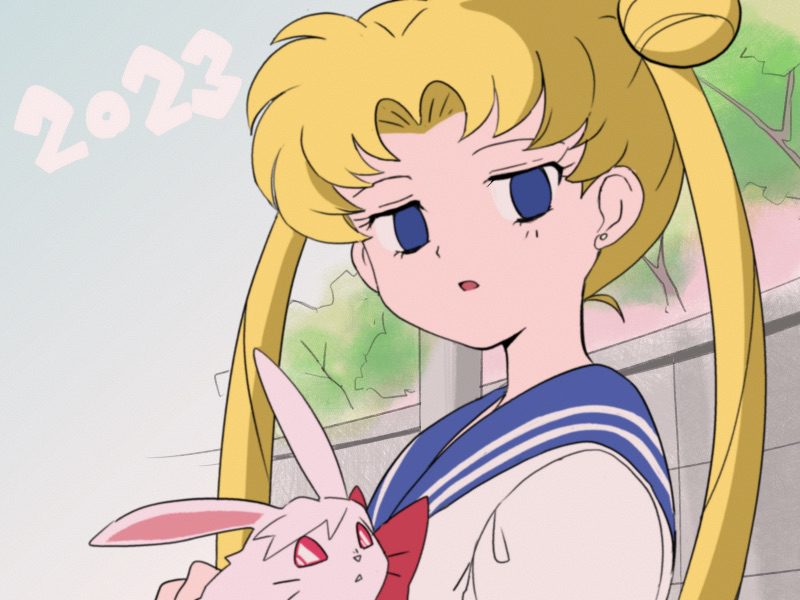 Bishoujo Senshi Sailor Moon Rule 34 Image