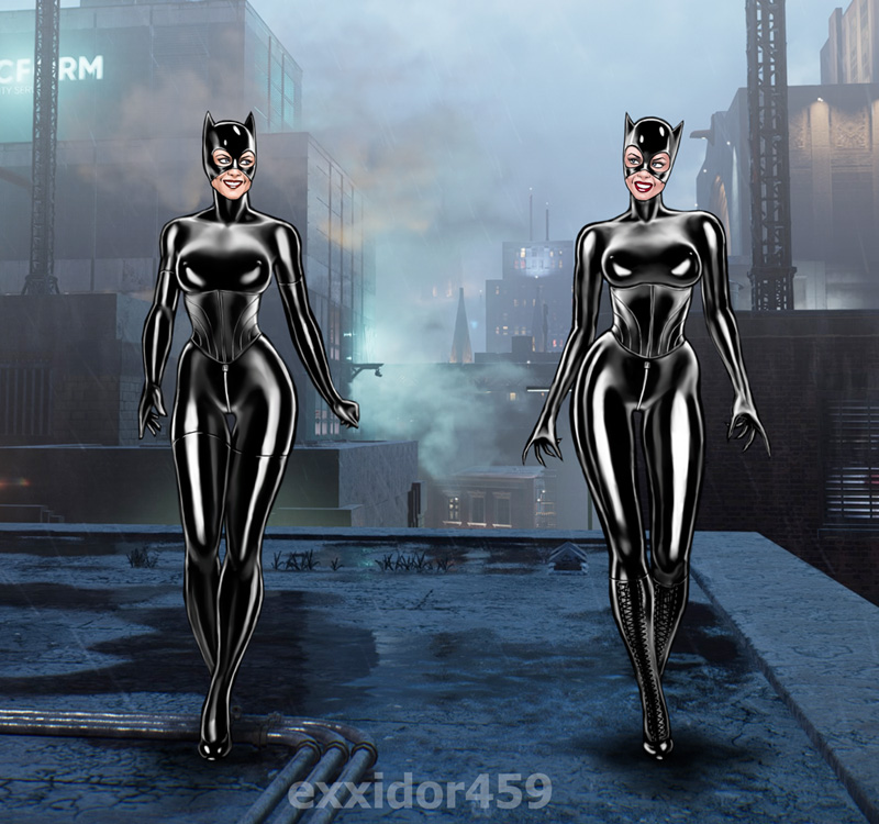 Catwoman (Batman (Series)) Rule 34 Image