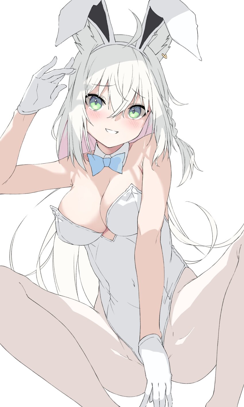 Shirakami Fubuki (Hololive) Rule 34 Image
