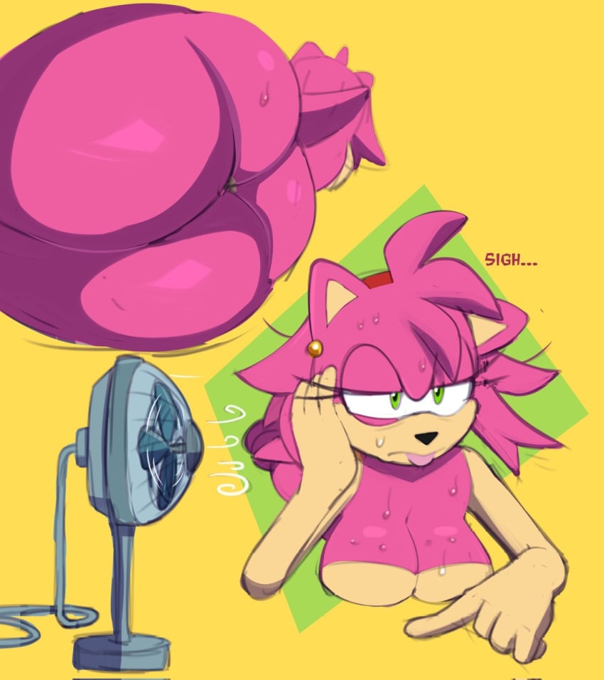 Amy Rose (Sega) Rule 34 Image