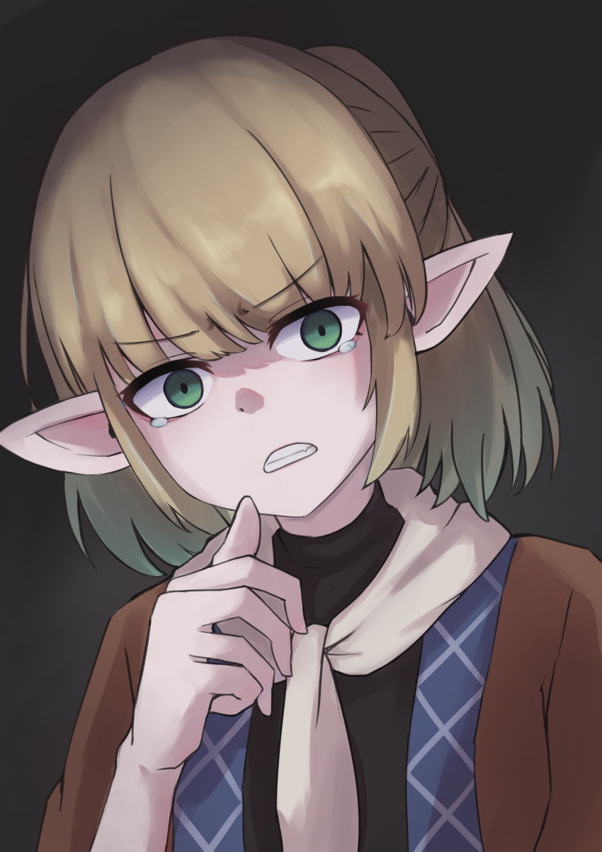 Mizuhashi Parsee (Touhou) Rule 34 Image