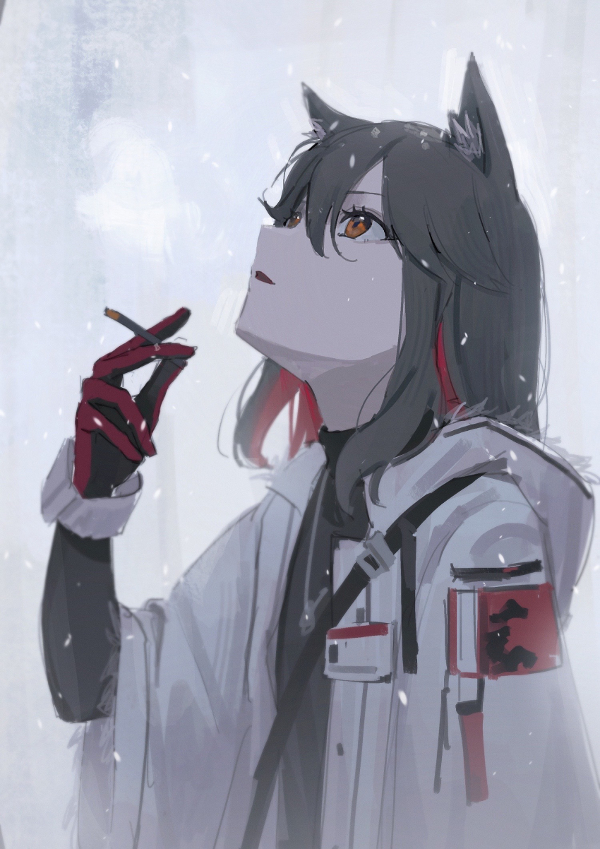 Texas (Arknights) Rule 34 Image