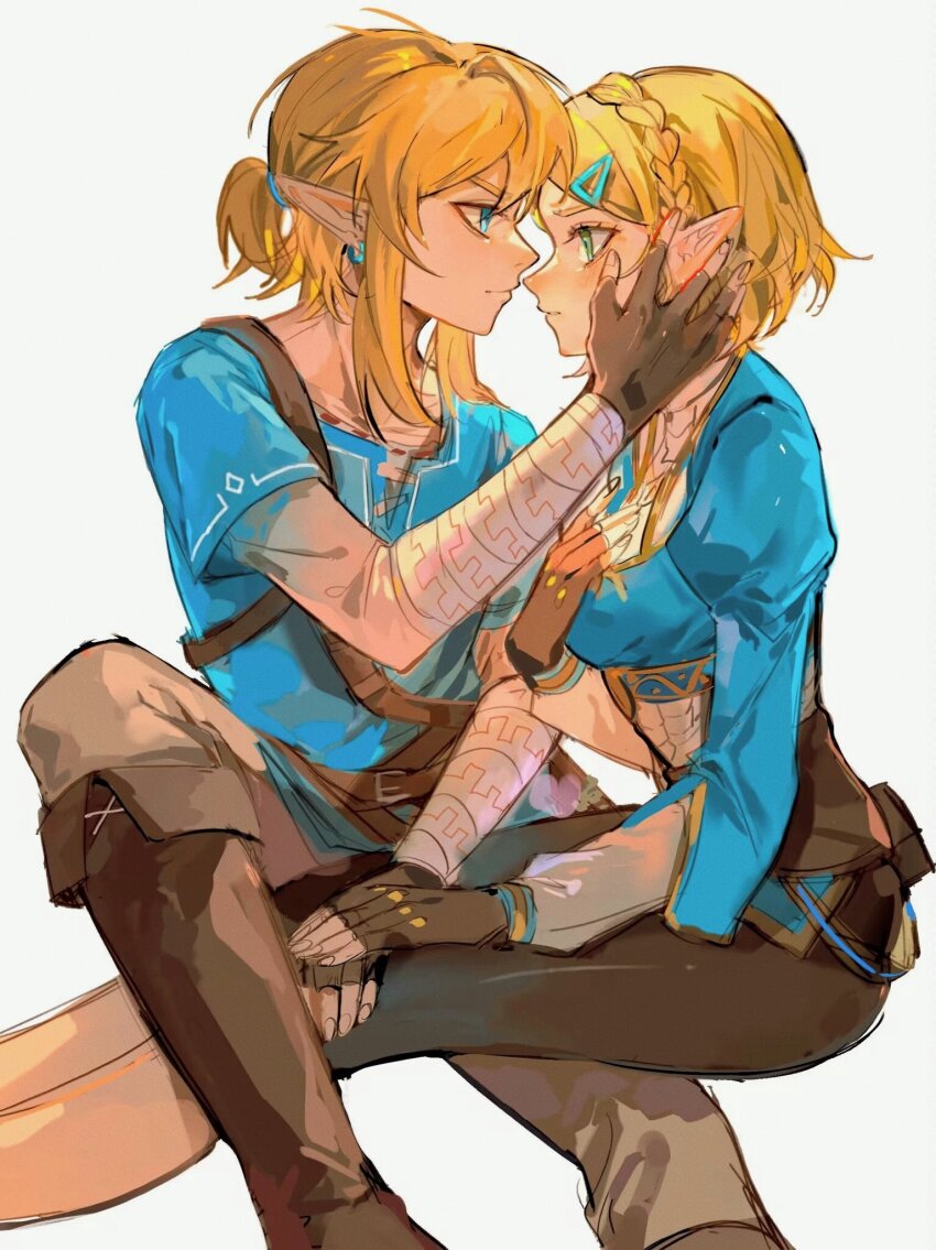 Link (Nintendo) Rule 34 Image