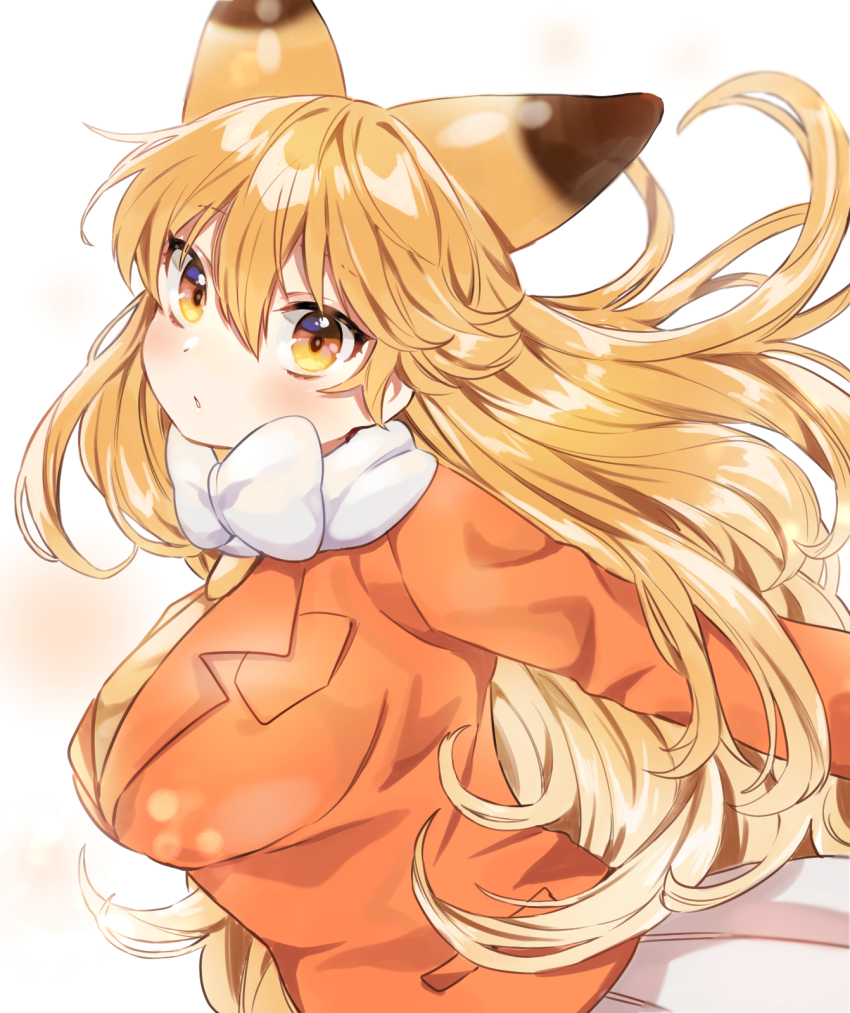 Ezo Red Fox (Kemono Friends) Rule 34 Image