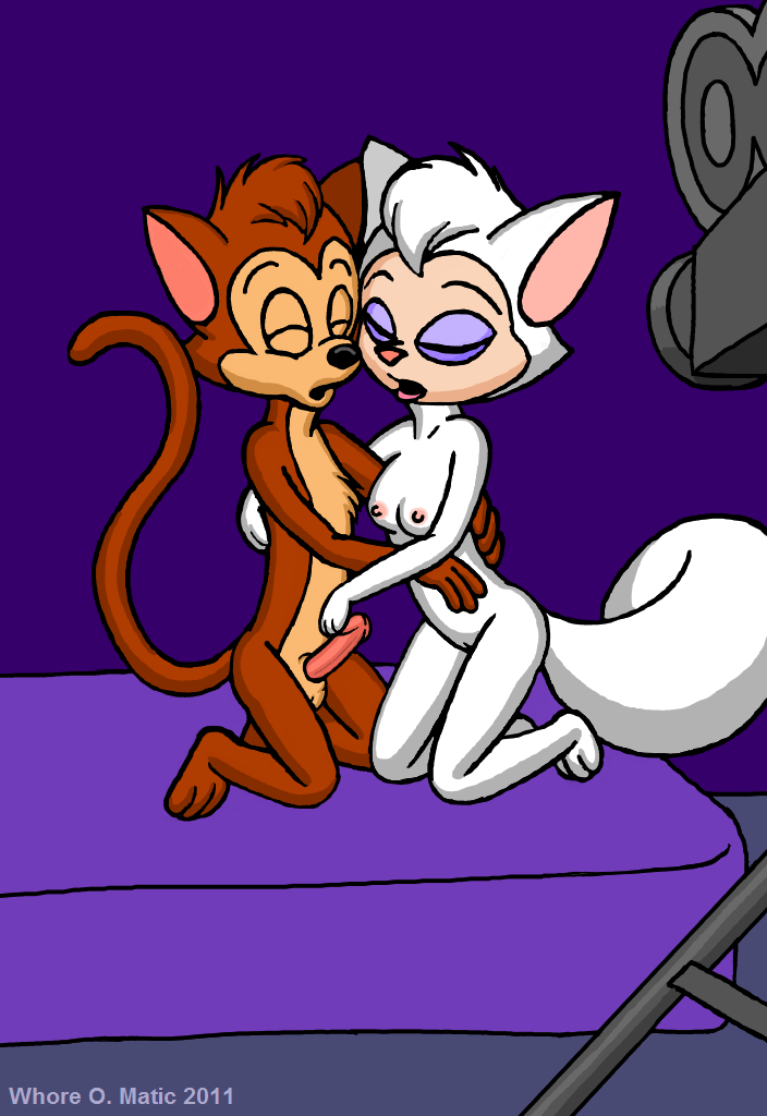 Danny (Cats Don'T Dance) Rule 34 Image