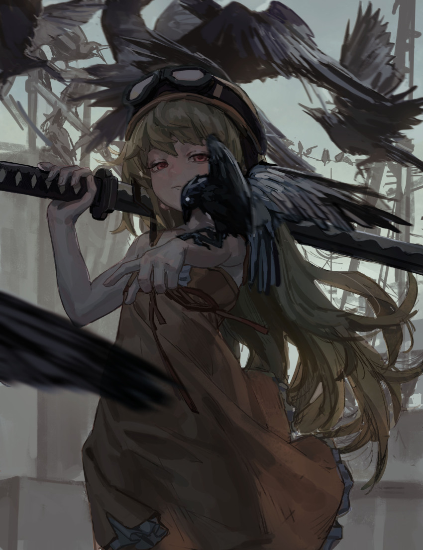 Oshino Shinobu (Monogatari (Series)) Rule 34 Image