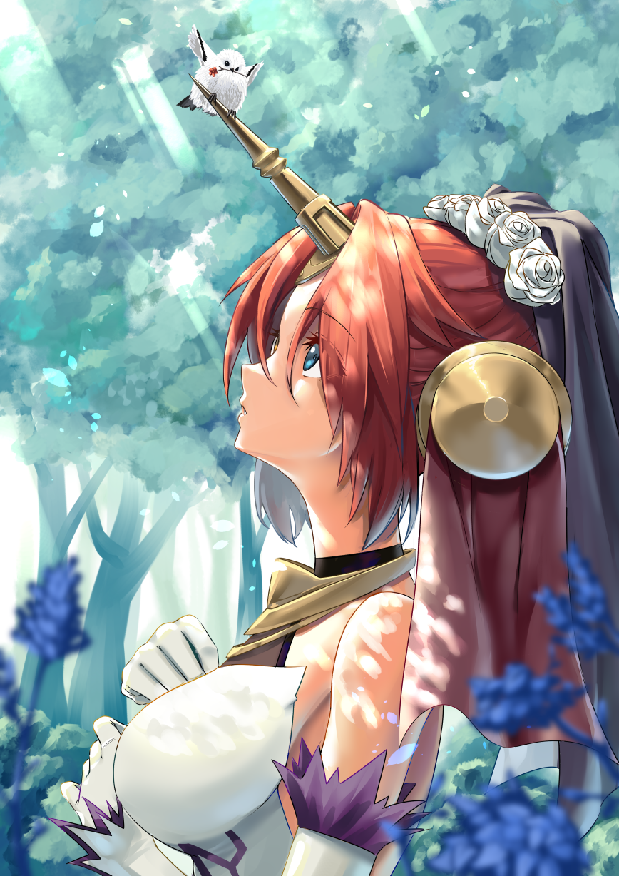 Fate/Apocrypha Rule 34 Image