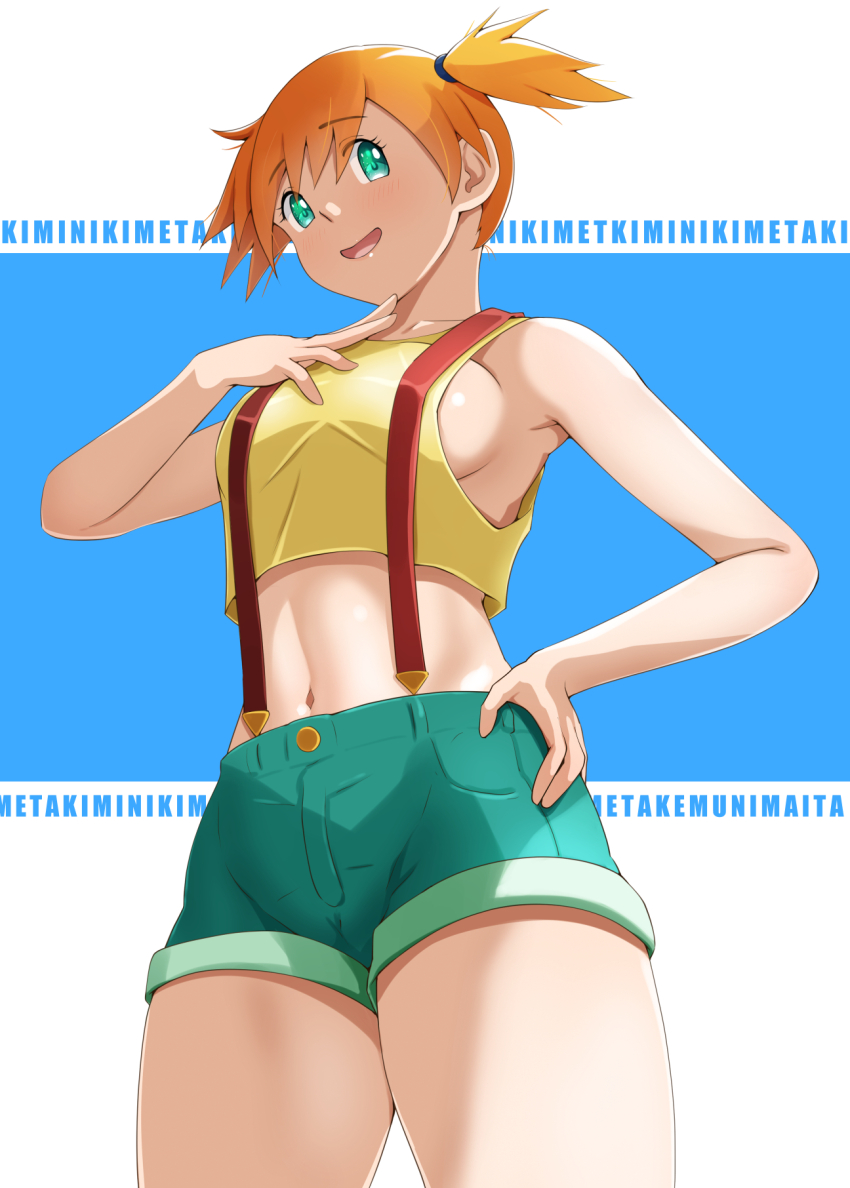 Gym Leader (Nintendo) Rule 34 Image