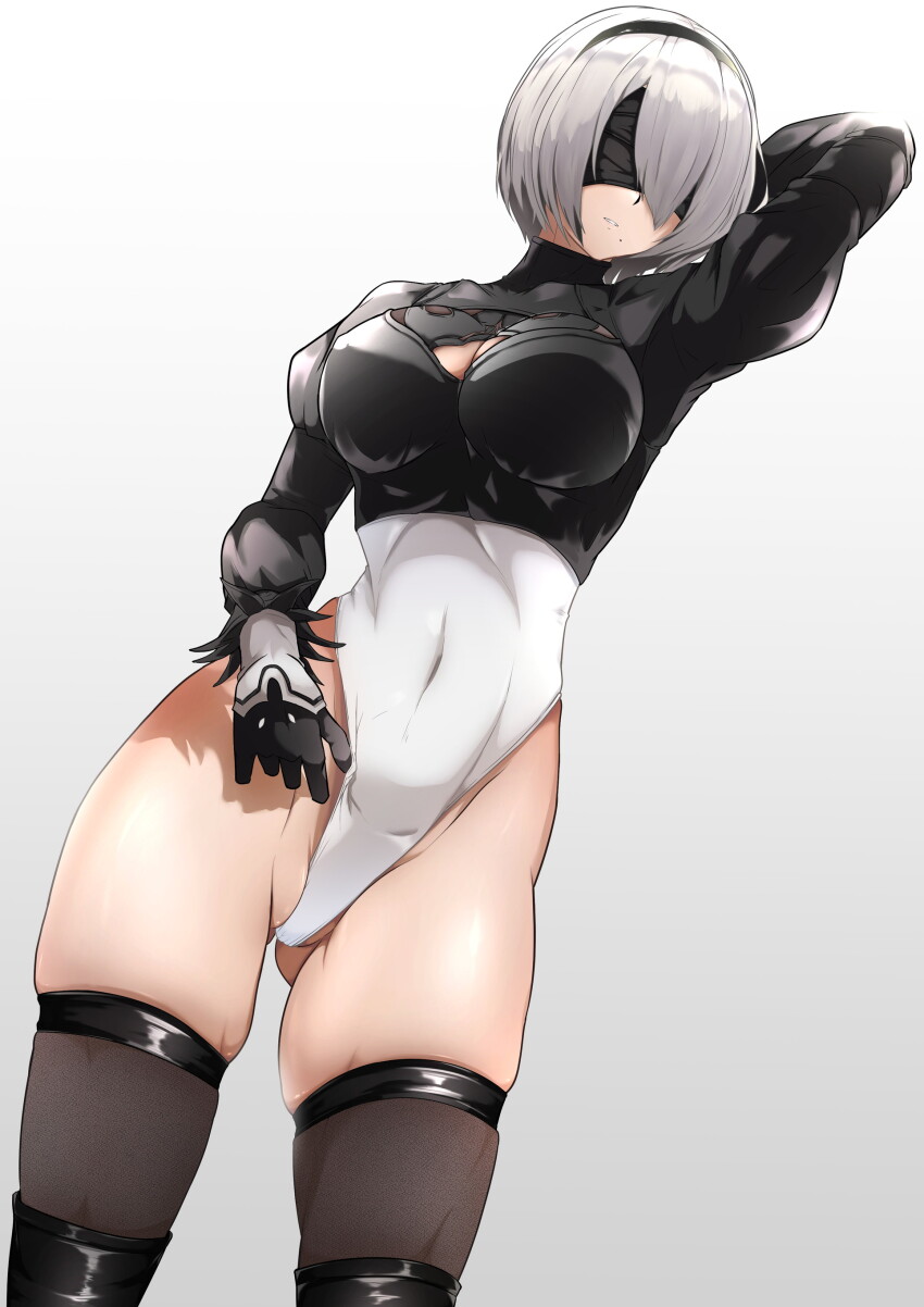 2b (Nier:Automata) Rule 34 Image
