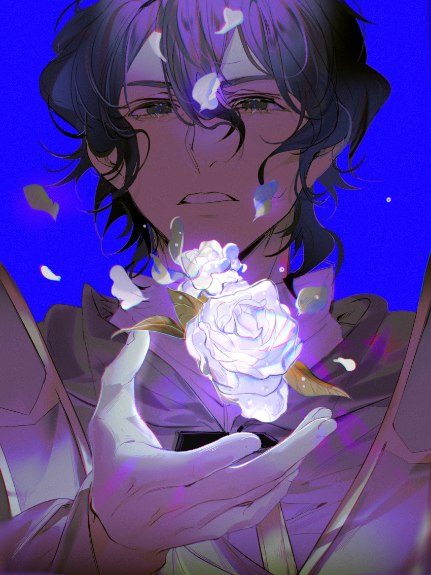 Black Hair Rule 34 Image